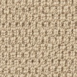 Horizon CarpetRemarkable Quality 12'